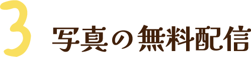 写真の無料配信